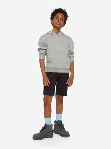 DICKIES Sweatshirt 'Youth Oakport' in Grey