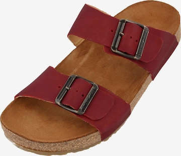 HAFLINGER Mules 'Andrea' in Red: front