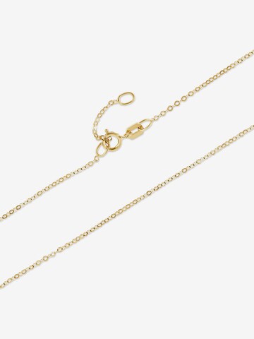 FAVS Kette in Gold