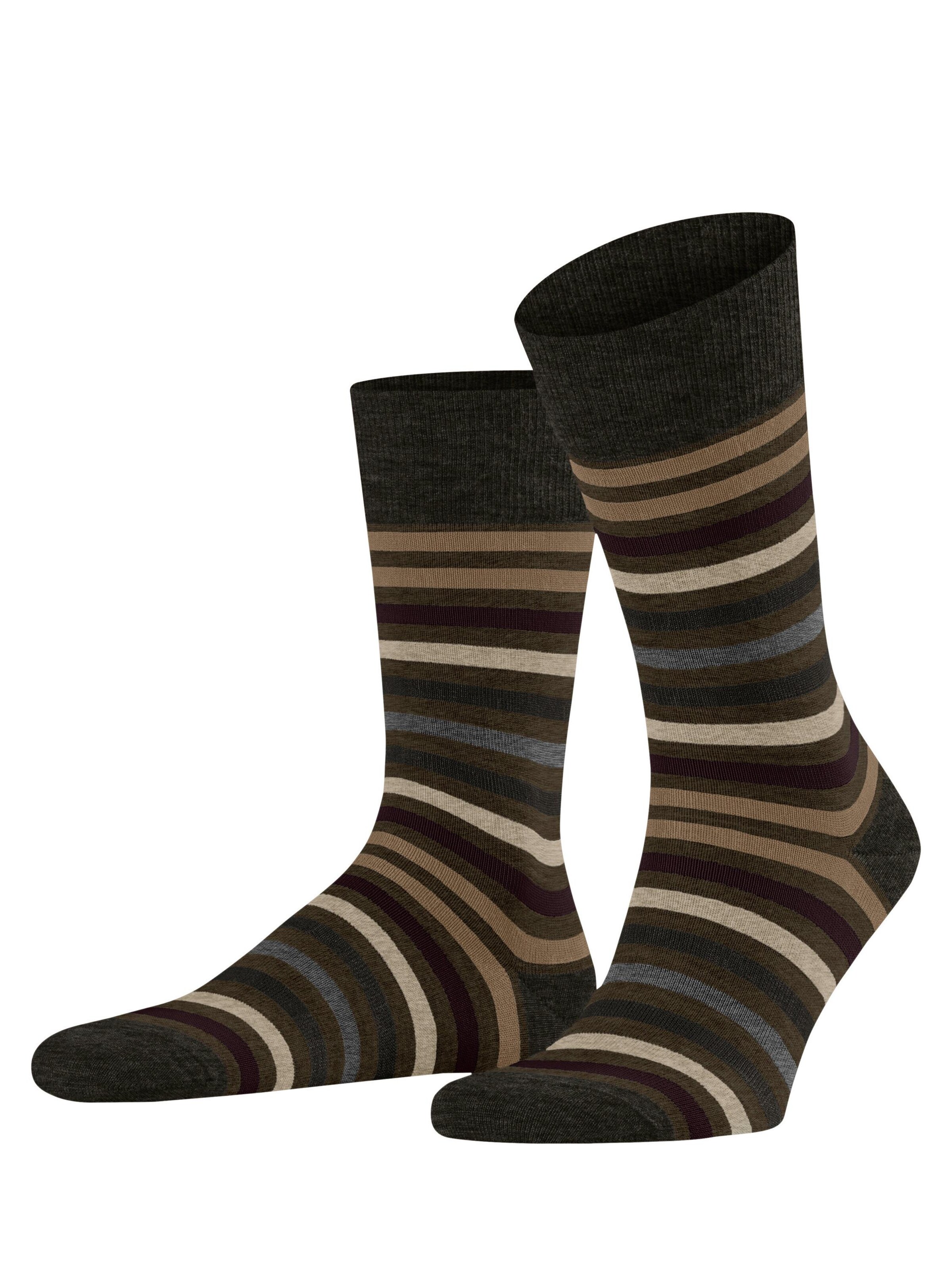 FALKE Socks 'Tinted Stripe' in Green