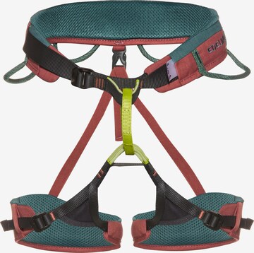 Edelrid Klettergurt 'Jayne III' in Grün: predná strana