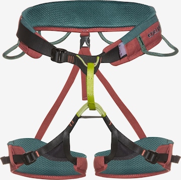 Edelrid Climbing Protection 'Jayne III' in Green: front