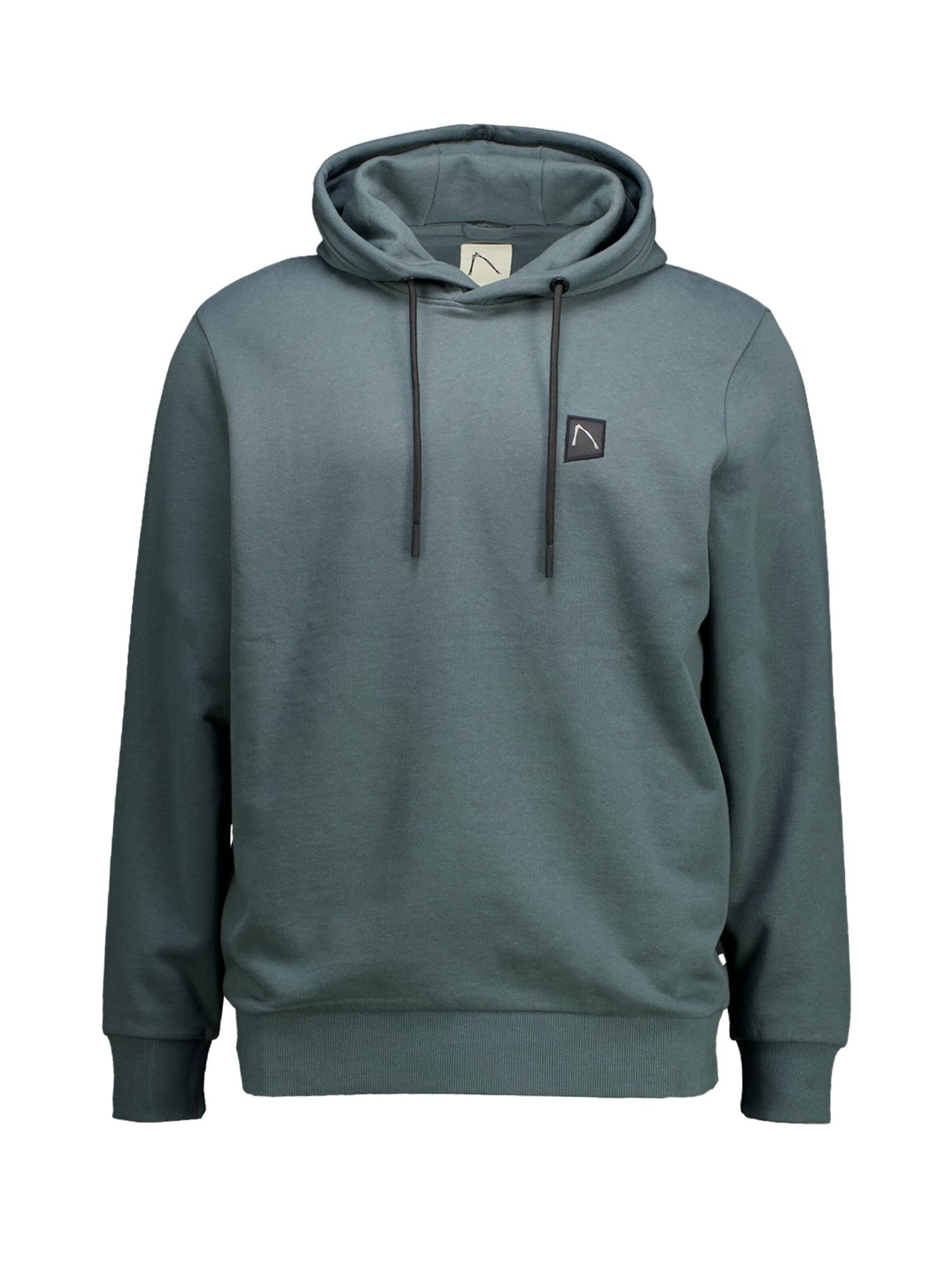 CHASIN' Sweatshirt 'Ronny' in Groen: voorkant
