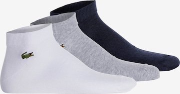 Chaussettes de sport Lacoste Sport en gris