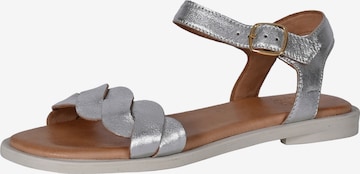 Apple of Eden Strap Sandals 'AVA' in Silver: front