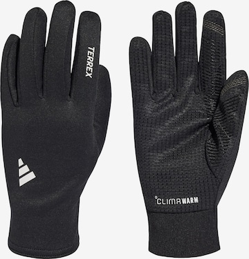 ADIDAS TERREX - Luvas de desporto em preto: frente