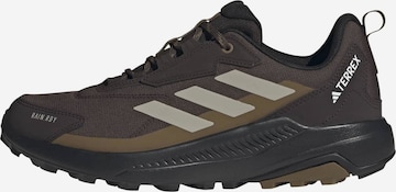 ruda ADIDAS TERREX Pusbačiai 'Anylander': priekis
