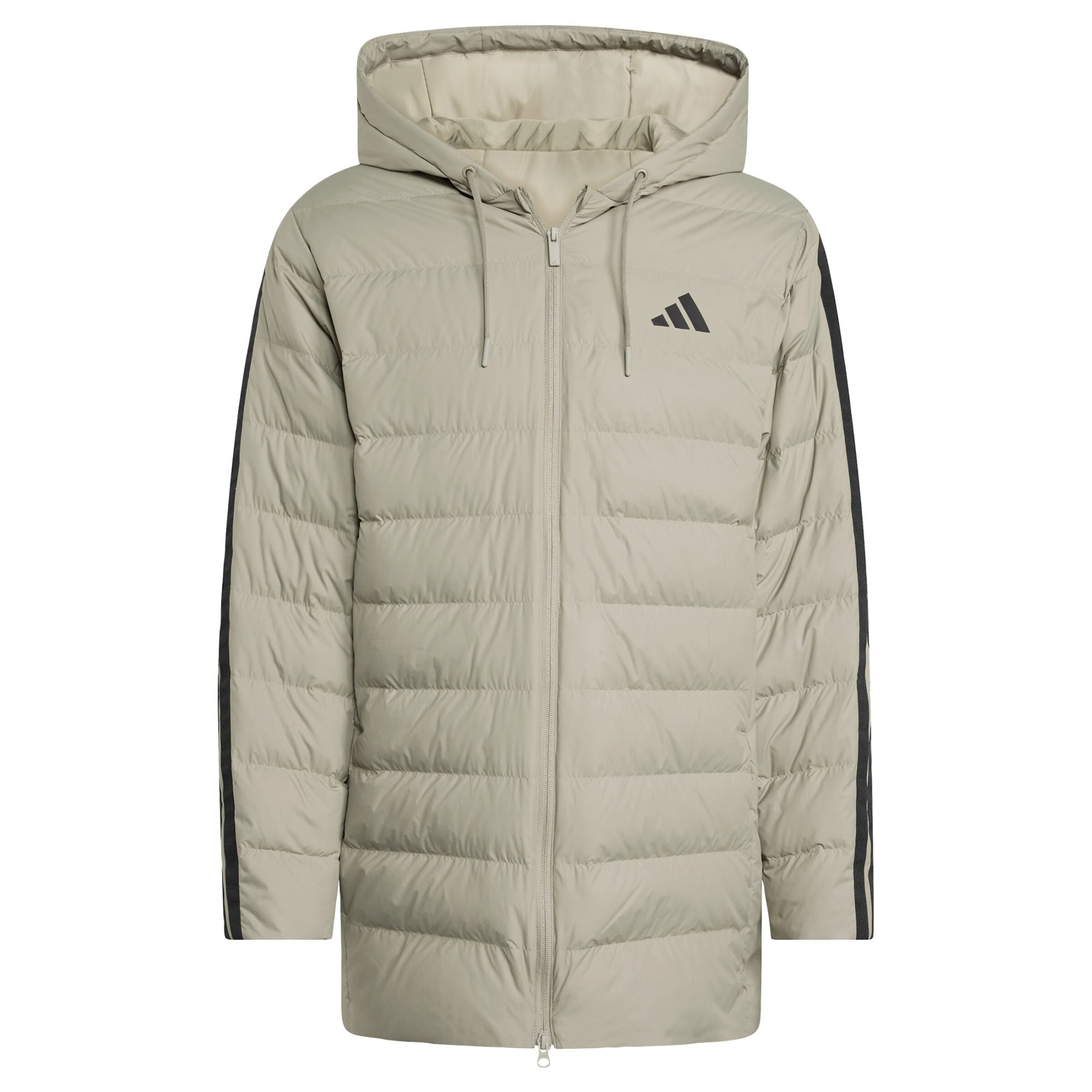 ADIDAS SPORTSWEAR Sportjas 'ESS' in Groen: voorkant