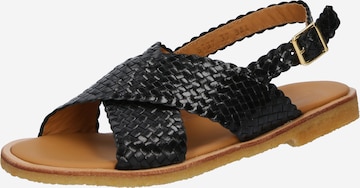 ANGULUS Sandals in Black: front