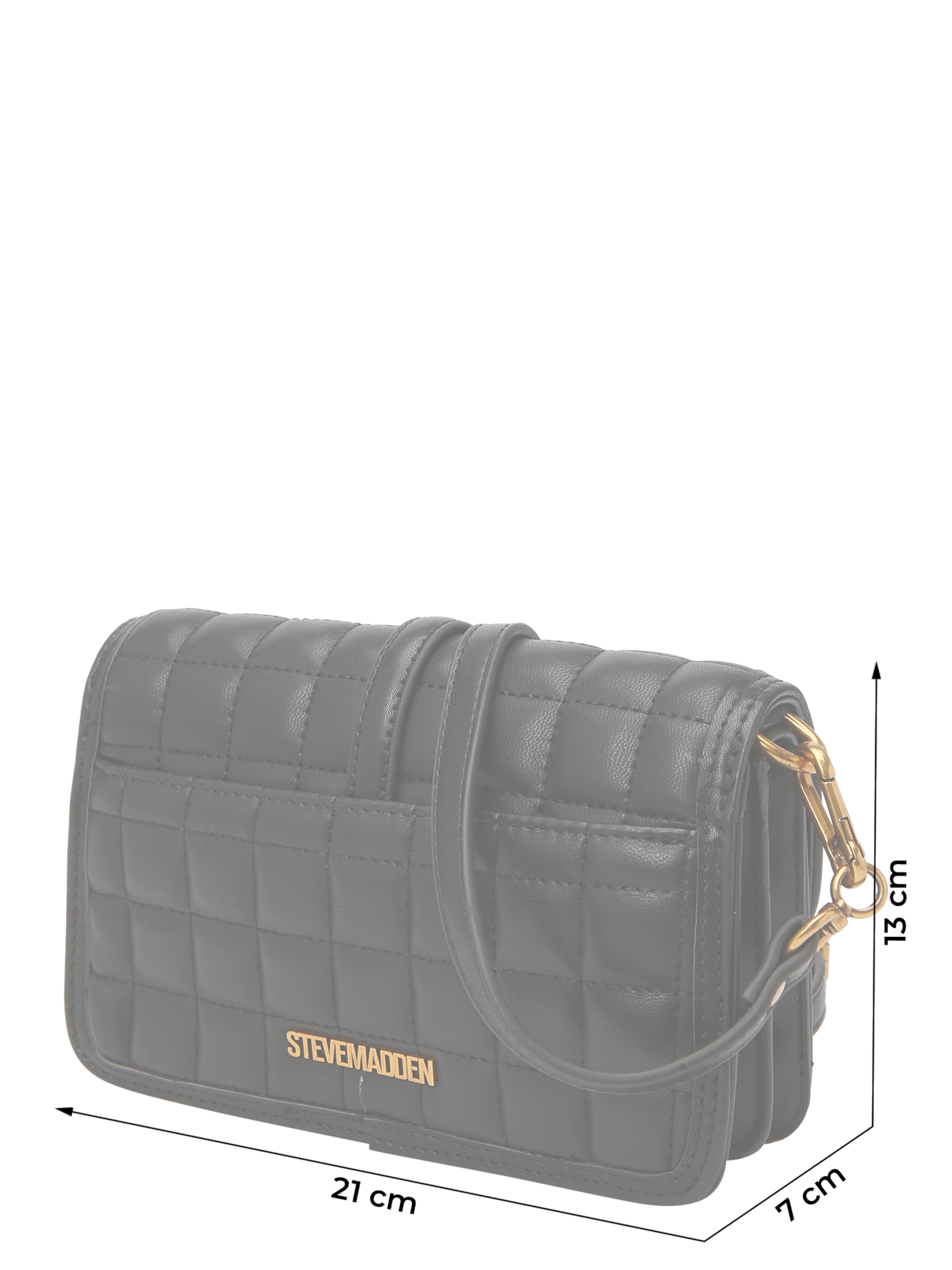 Geantă de umăr 'Brya' de la STEVE MADDEN pe negru