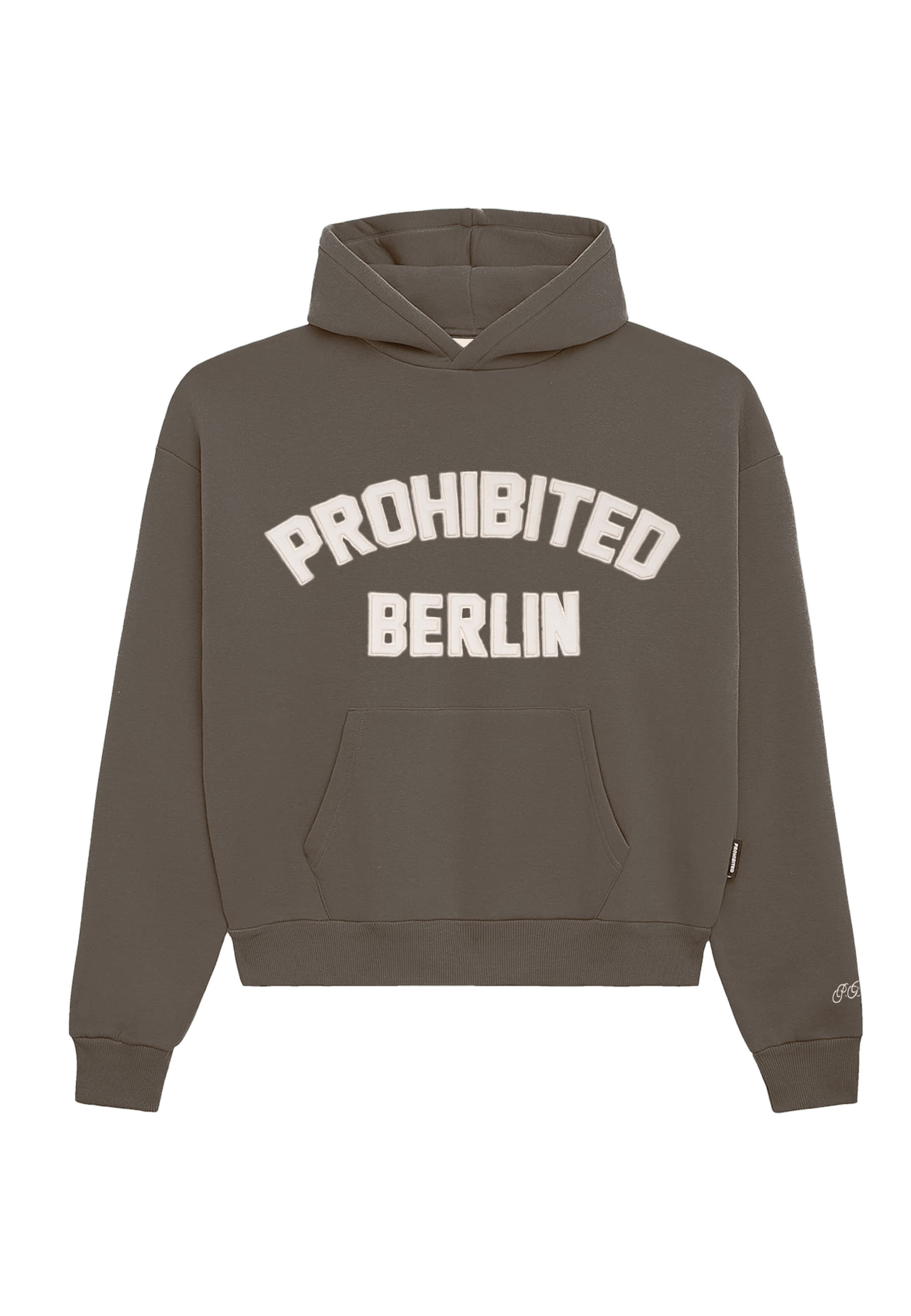 Sweat-shirt 'Berlin' Prohibited en gris : devant
