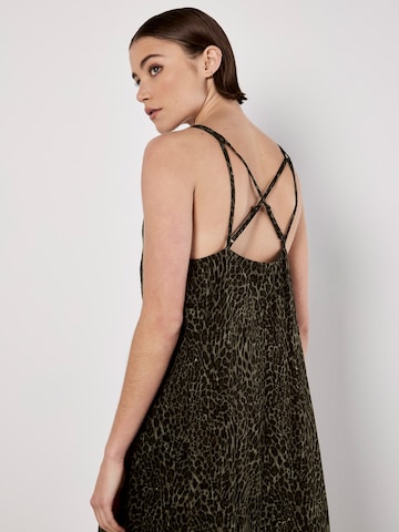 Apricot Dress ' ' in Green