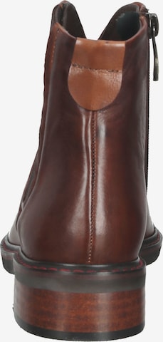 Everybody Chelsea Boots in Braun