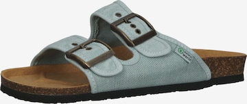 natural world Mules in Blue: front