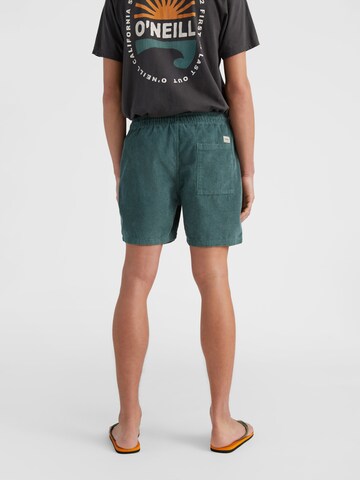 O'NEILL Regular Shorts in Blau