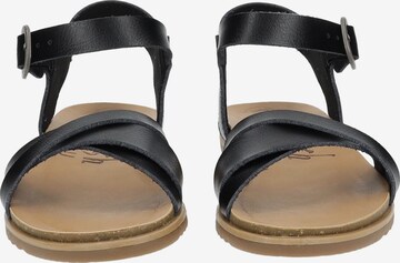 Blowfish Malibu Sandalen met riem in Zwart