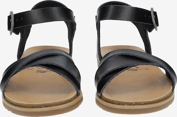 Blowfish Malibu Strap Sandals in Black