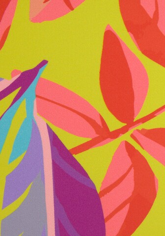 Slip bikini di s.Oliver in colori misti