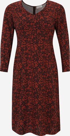 Guido Maria Kretschmer Curvy - Vestido 'Martje' en rojo: frente