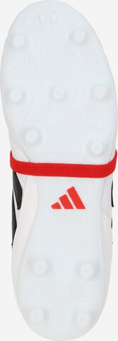 ADIDAS PERFORMANCE Soccer shoe 'Copa Gloro Firm Ground' in White
