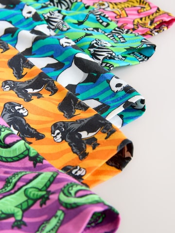 Boxer di Next in colori misti