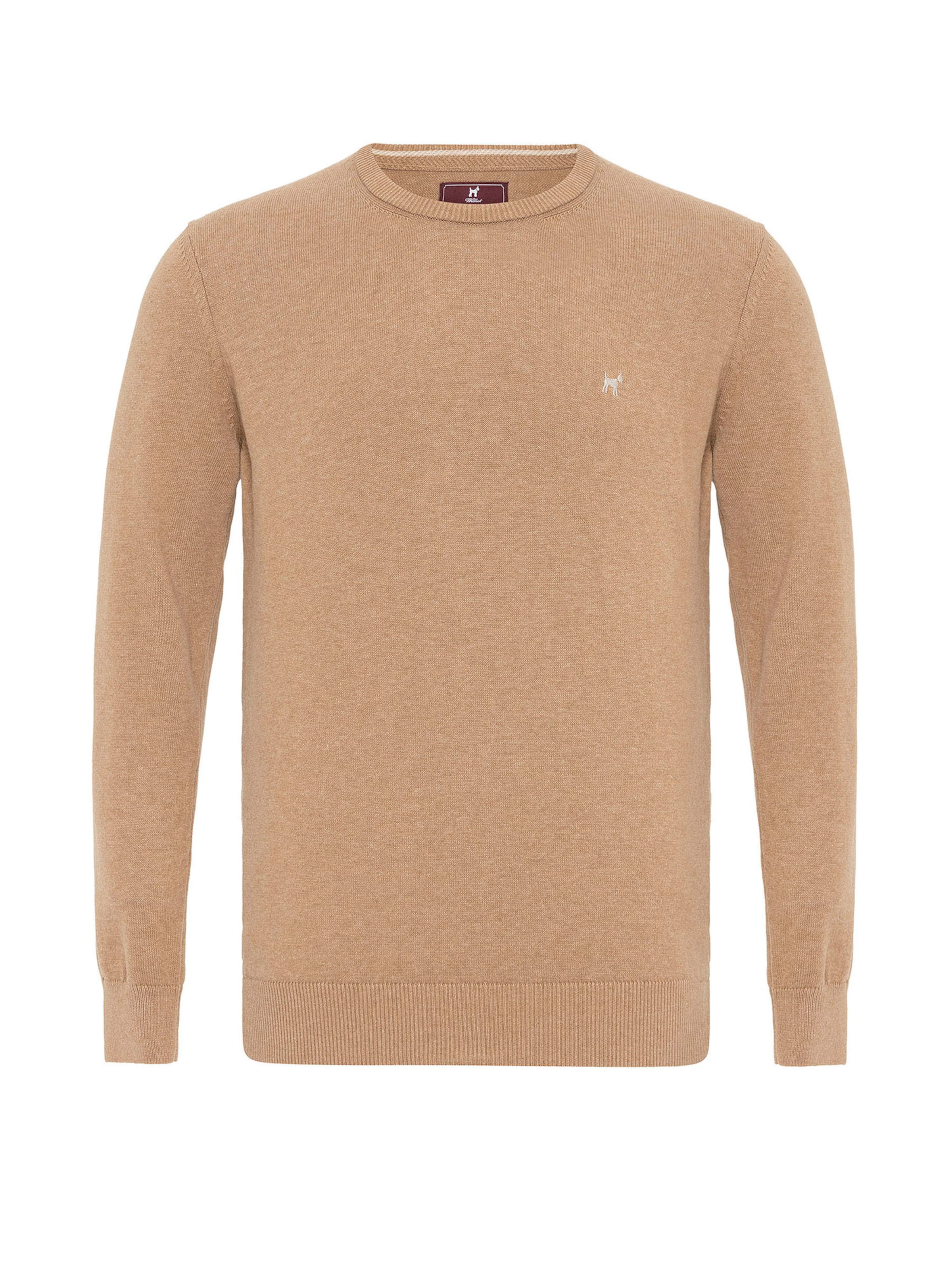 Williot Sweater in Beige: front