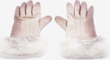 PRADA Gloves in L in Brown: front