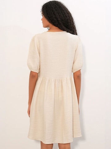 Bigdart Dress in Beige