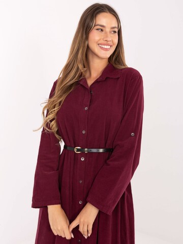 Madnezz House Kleid in Rot