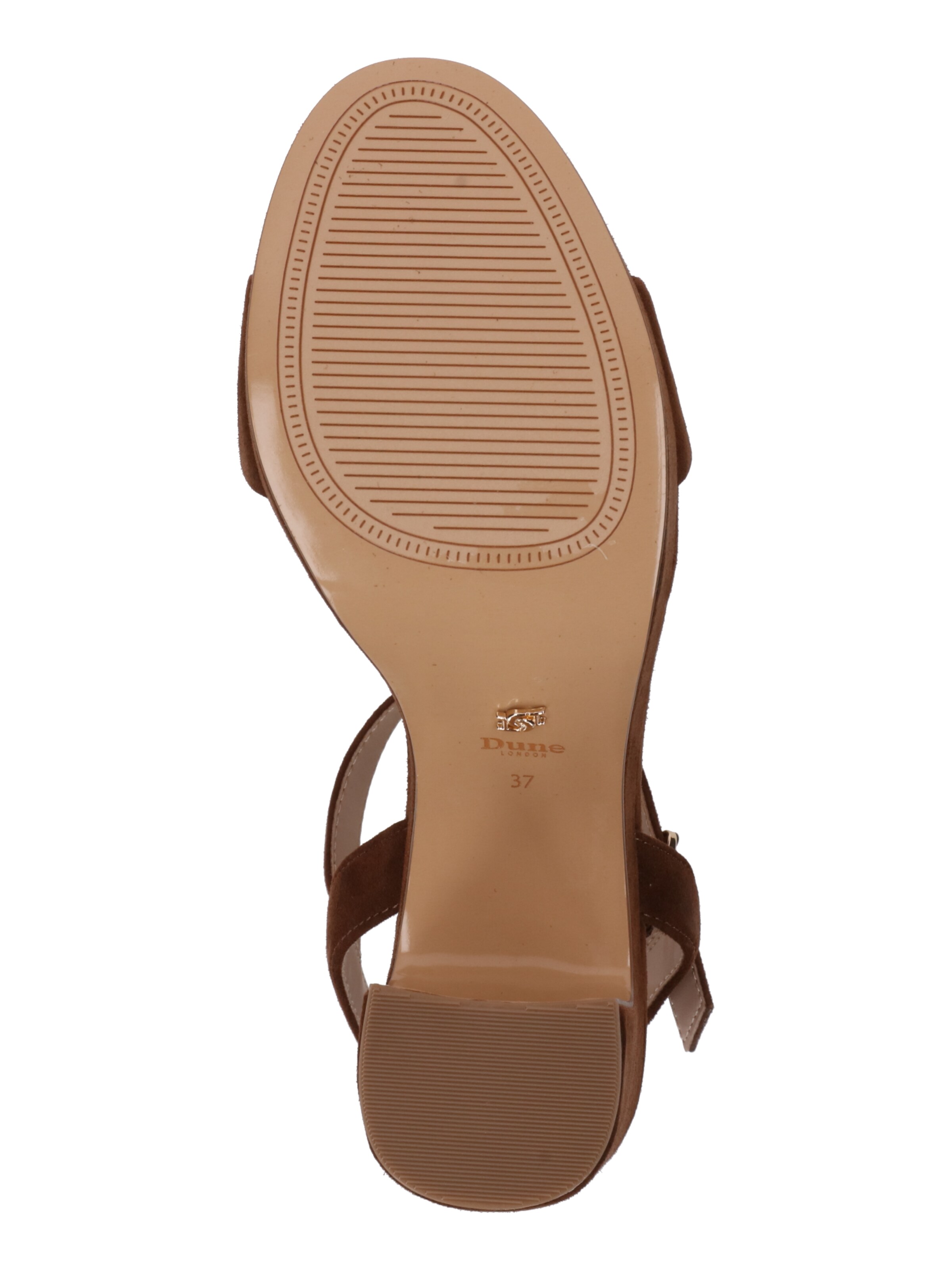 Sandalo con cinturino di Dune LONDON in marrone