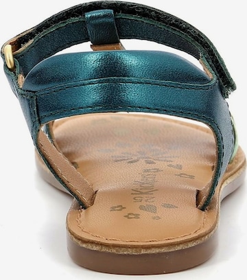 Kickers Sandalen in Groen