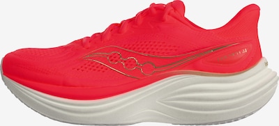 saucony Juoksukengät 'Triumph 24' koossa 36-36,5 värissä kulta / punainen, Tuotenäkymä