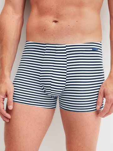 CALIDA Boxershorts 'Grafic Cotton'‌‌‌ in Grau