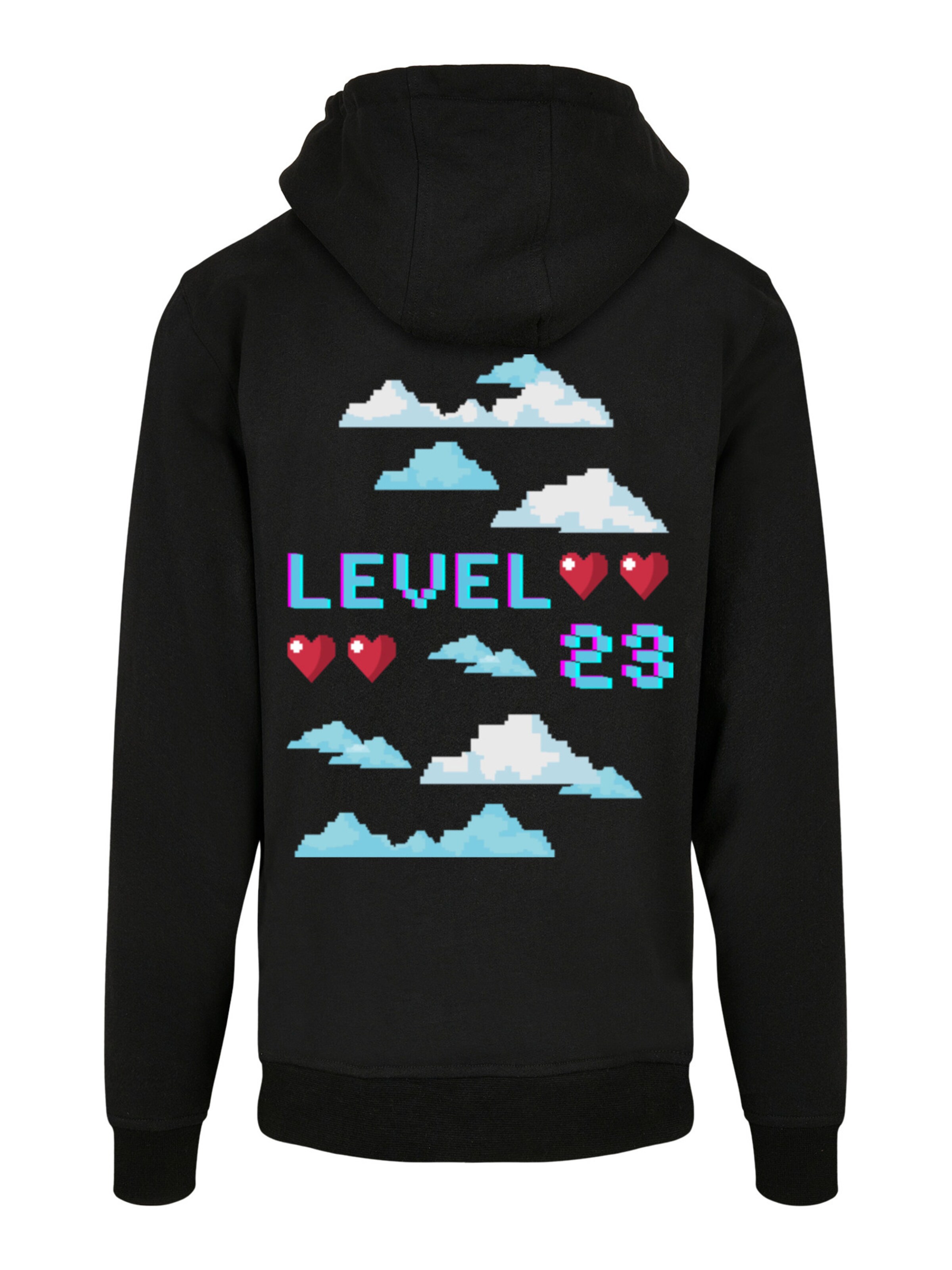 F4NT4STIC Sweatshirt in Zwart