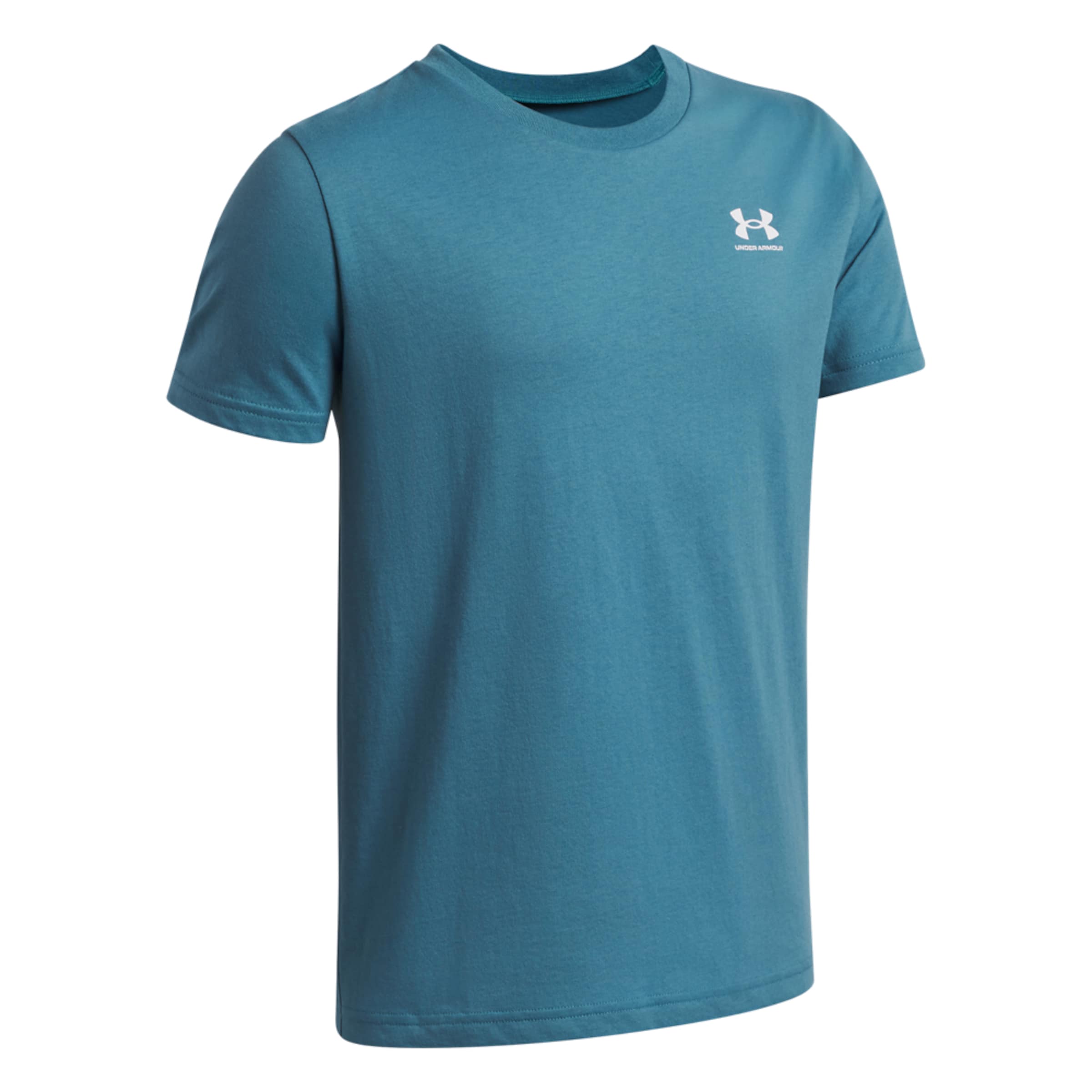 UNDER ARMOUR Shirt in Blue