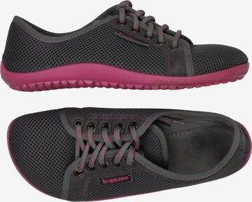 Leguano Sneaker 35 in Grau: Vorderseite