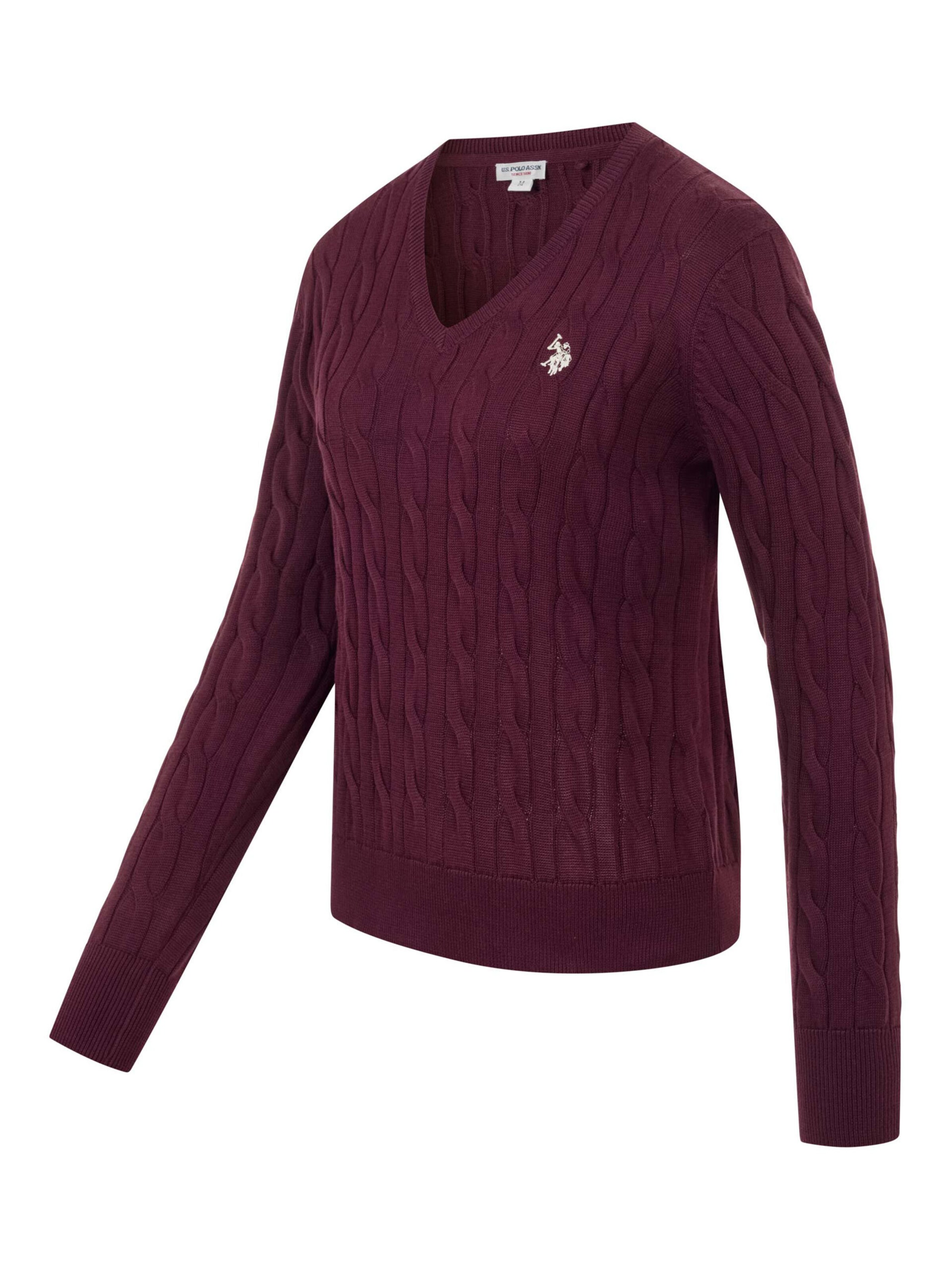 U.S. POLO ASSN. Sweater in Purple