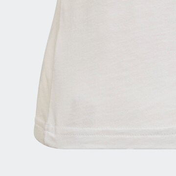 T-Shirt 'Adicolor Trefoil' ADIDAS ORIGINALS en blanc