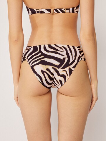 CALZEDONIA Bikini Bottoms 'Savannah Zebra' in Black