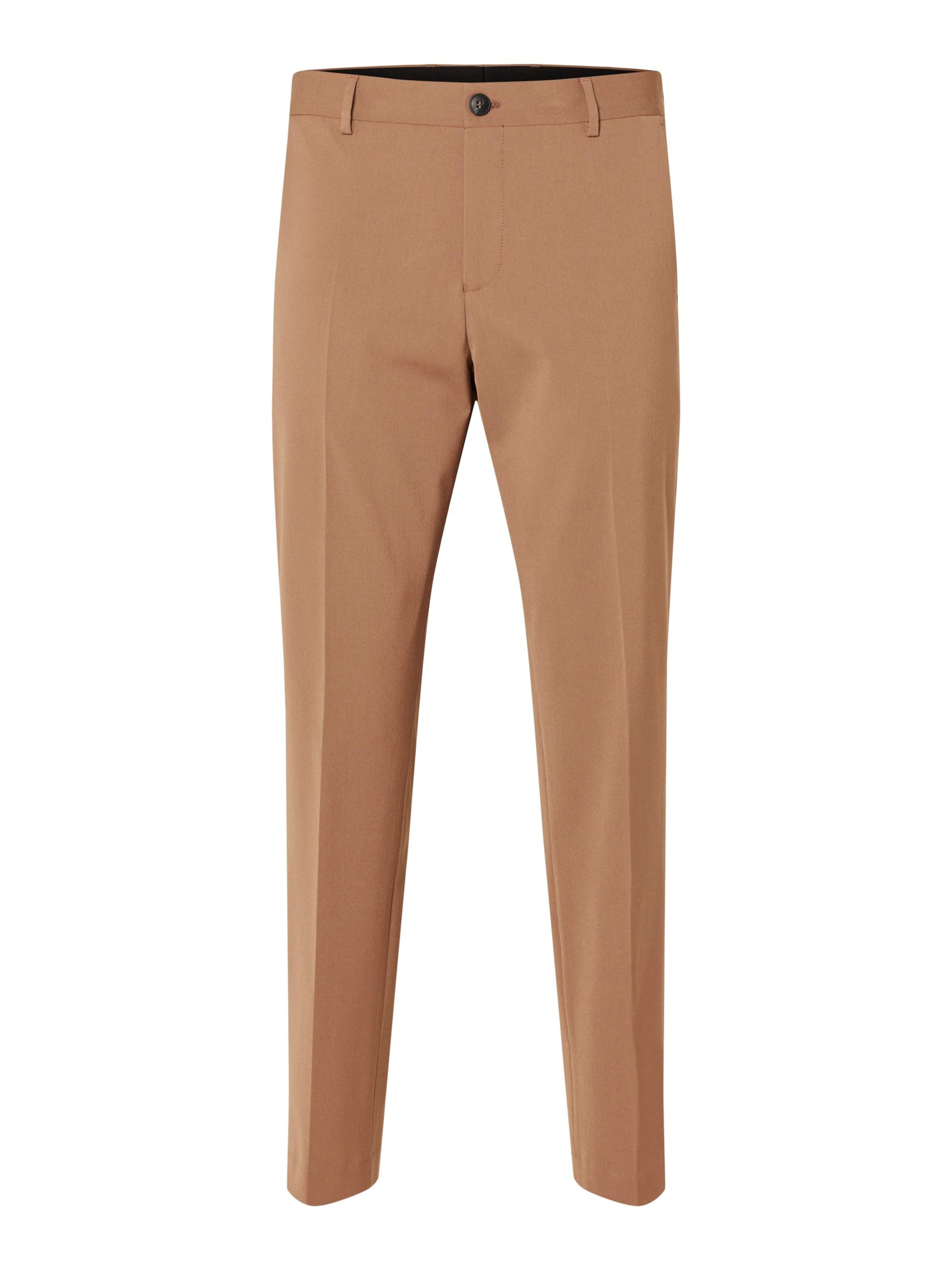 SELECTED Trousers with creases 'Liam' in Beige: front