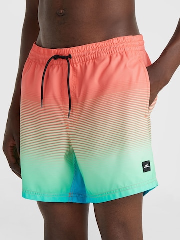 O'NEILL Bathing trunks in Mixed colours