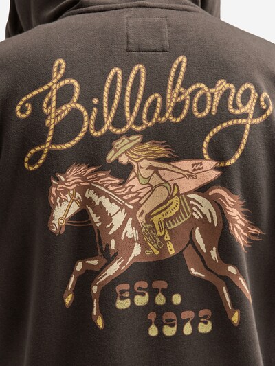 BILLABONG Zip-Up Hoodie 'Familiar Roads' in L in Brown / Dark brown / Olive / Rose, Item view