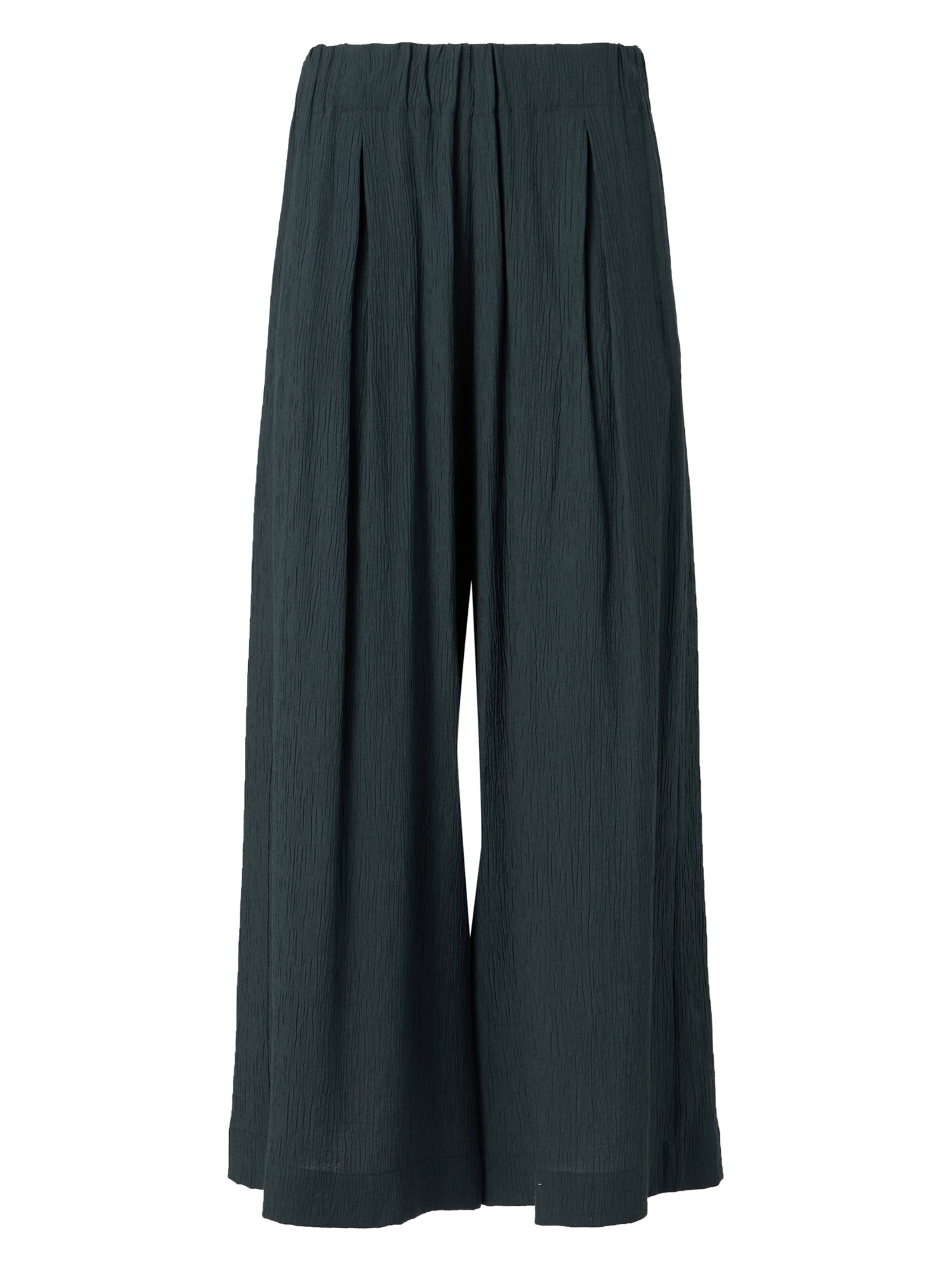 Regular Pantalon à plis 'ISLA MINIMA' sessun en vert : devant