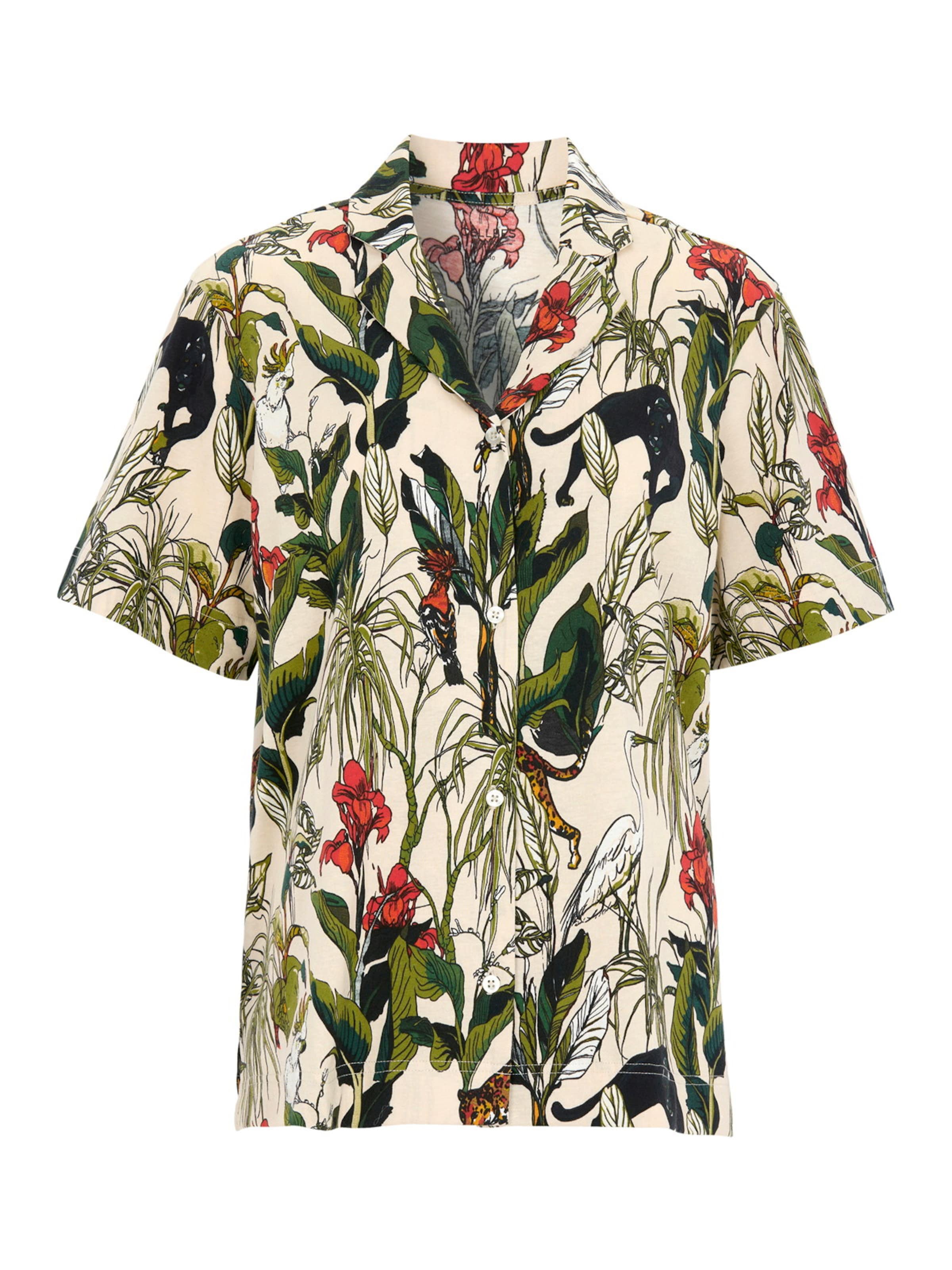 Cellbes of Sweden Shorty in Beige