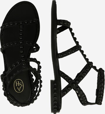 ASH Strap Sandals in Black