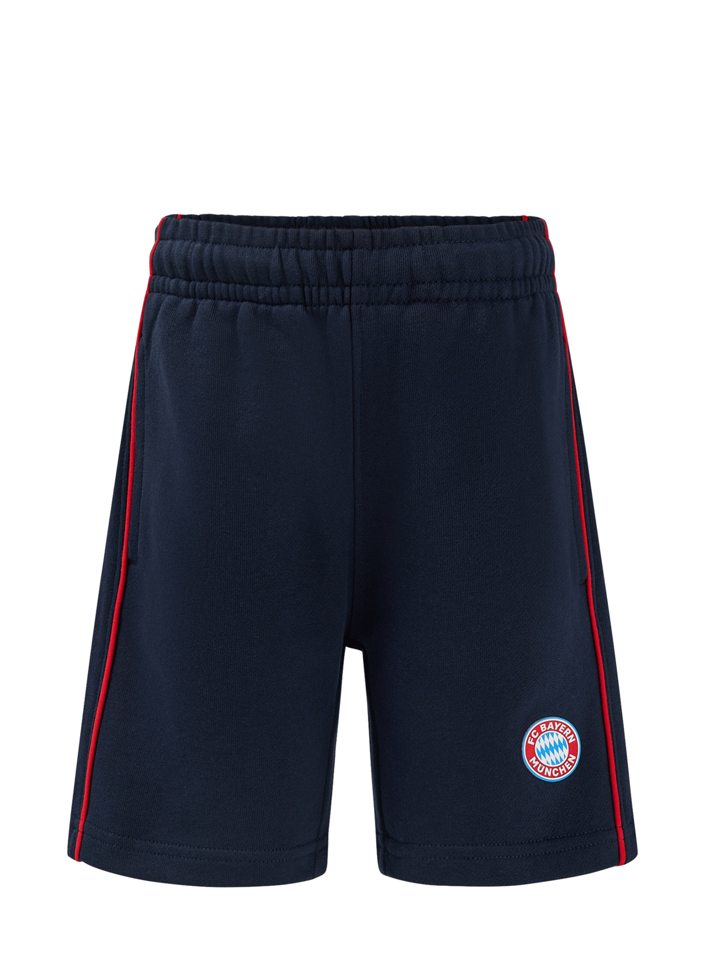 FC BAYERN MÜNCHEN Regular Pants in Blue: front