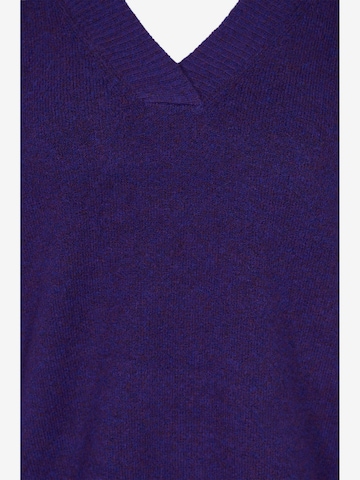Zizzi Sweater 'GREENY' in Purple