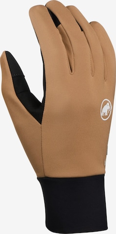 MAMMUT Fingerhandschuhe in Braun: Vorderseite