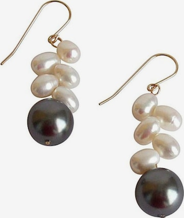 Gemshine Earrings in Silver: front