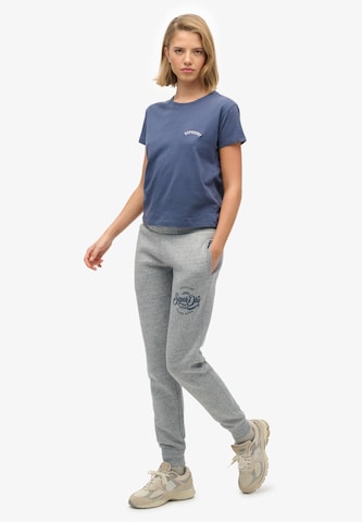 Effilé Pantalon Superdry en gris
